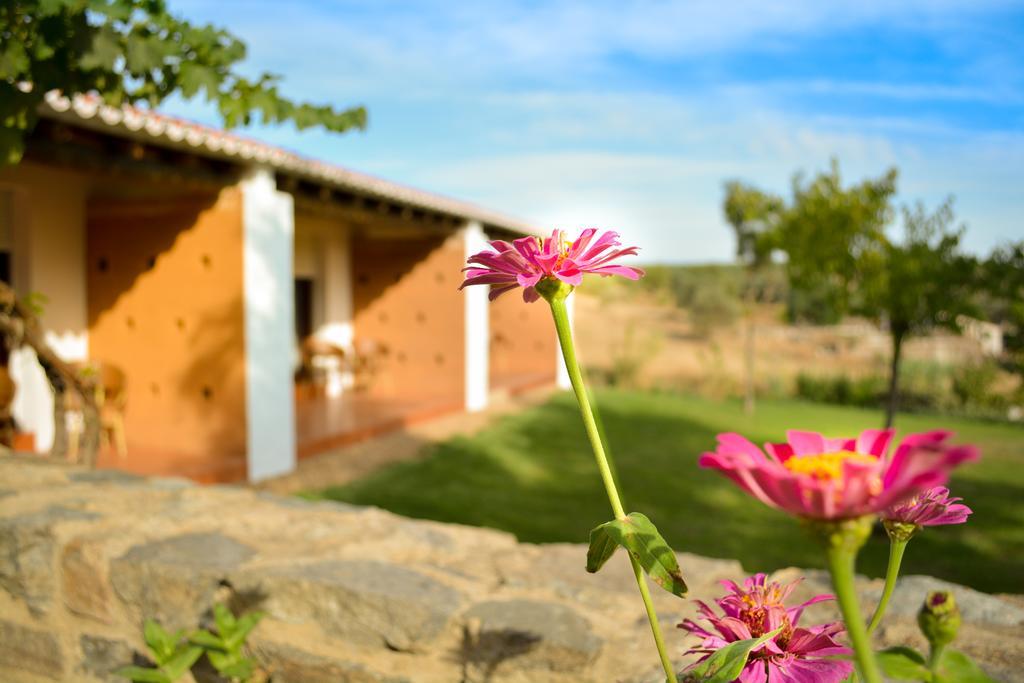 Melrinitas Turismo Rural Hotell Serpa Exteriör bild